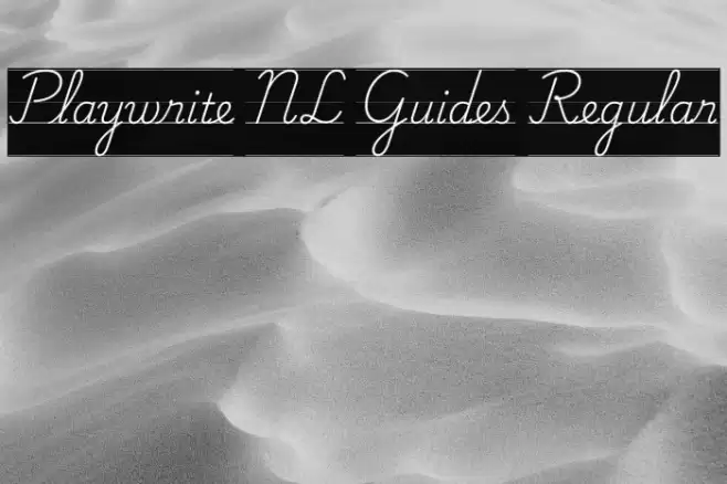 Playwrite NL Guides Regular Шрифта examples