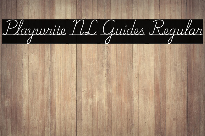 Playwrite NL Guides Regular Caratteri examples