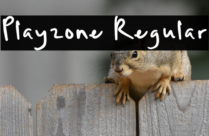 Playzone Regular Example 3