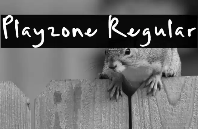 Playzone Regular خط examples