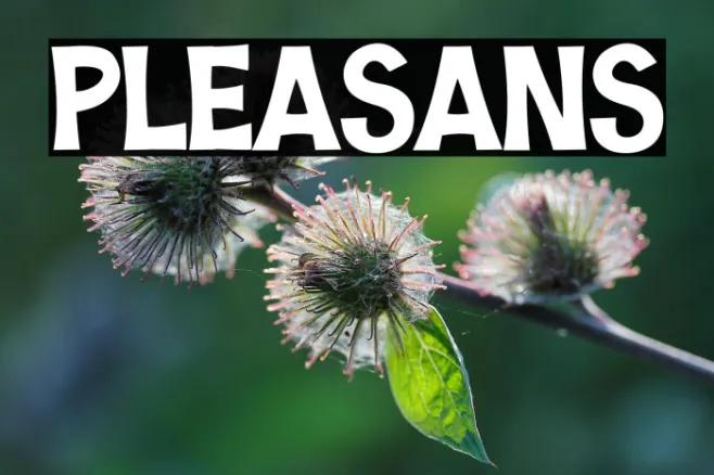 Pleasans Example 1