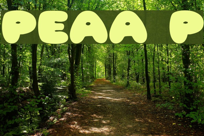 Pleasantly Plump Font examples