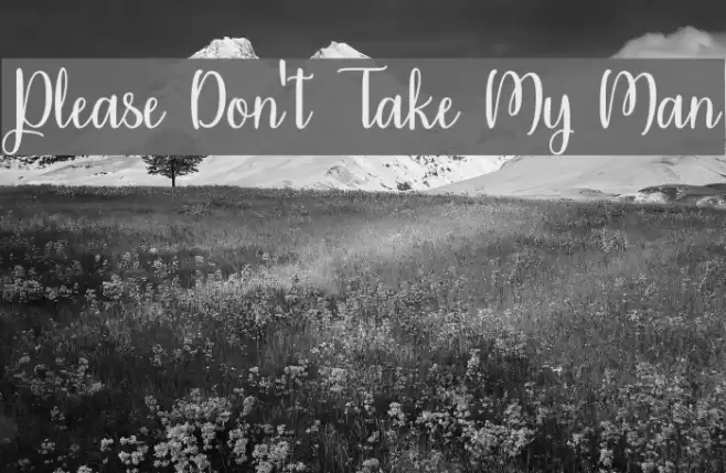 Please Don't Take My Man Font examples