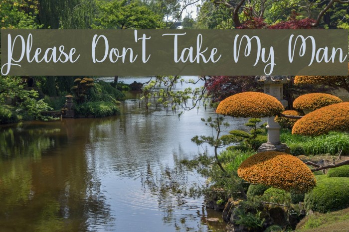 Please Don't Take My Man Example 3