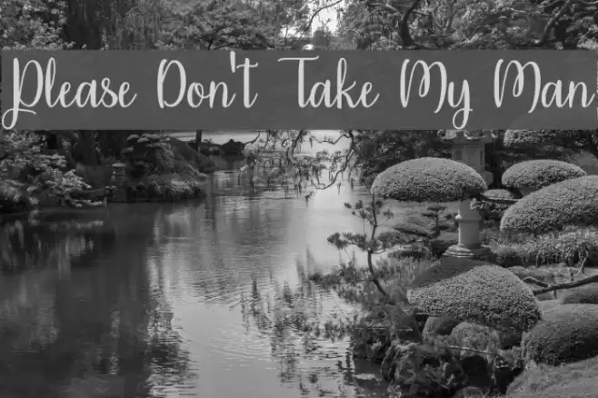 Please Don't Take My Man Font examples
