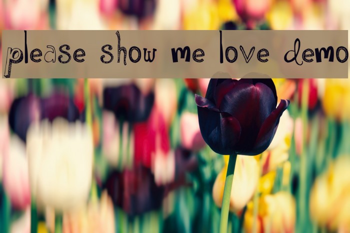 Please Show Me Love DEMO Font examples