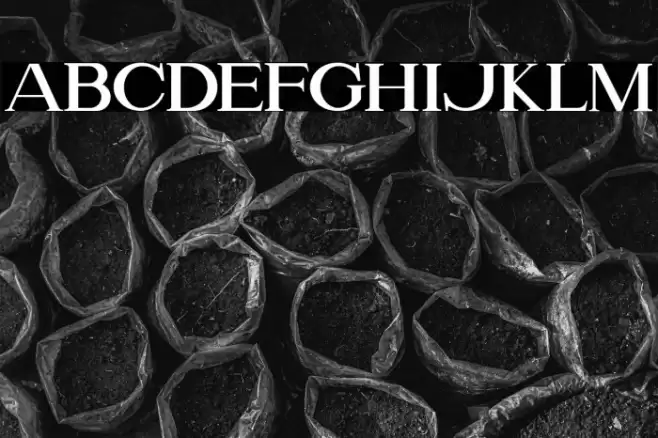 Please Font examples