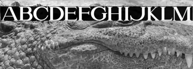 Please Font examples