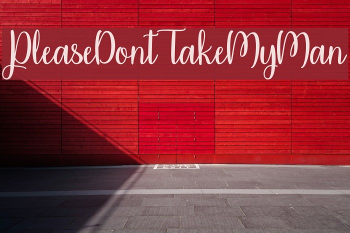 PleaseDontTakeMyMan Font examples