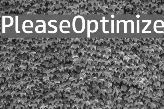 PleaseOptimize Font examples