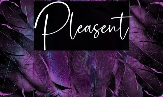 Pleasent Example 3