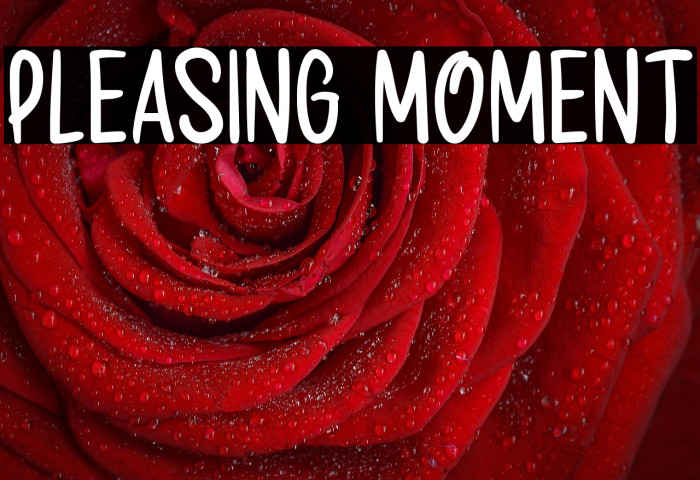 Pleasing Moment Example 1