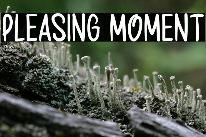 Pleasing Moment Example 2