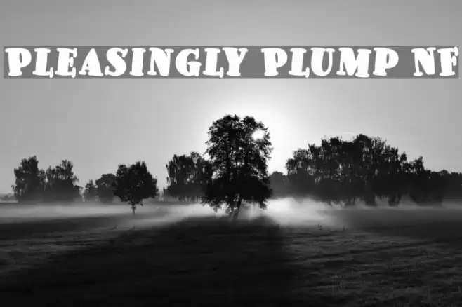 Pleasingly Plump NF Font examples