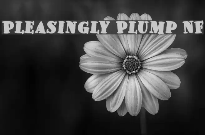 Pleasingly Plump NF Font examples