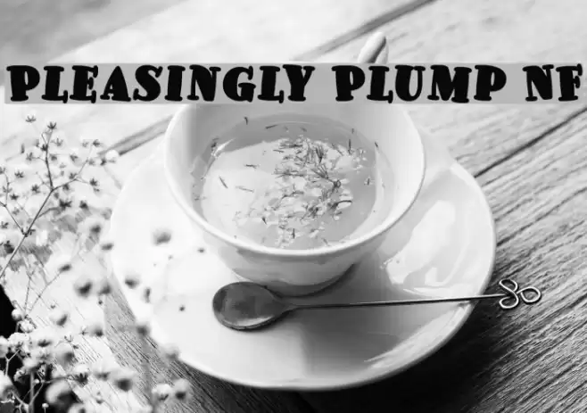 Pleasingly Plump NF Font examples