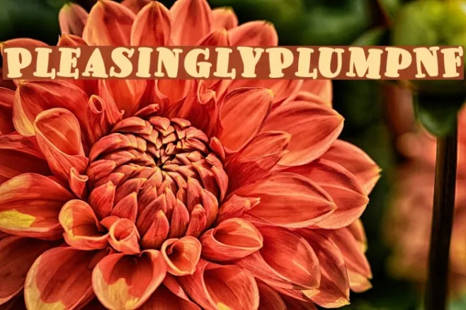 PleasinglyPlumpNF Example 2