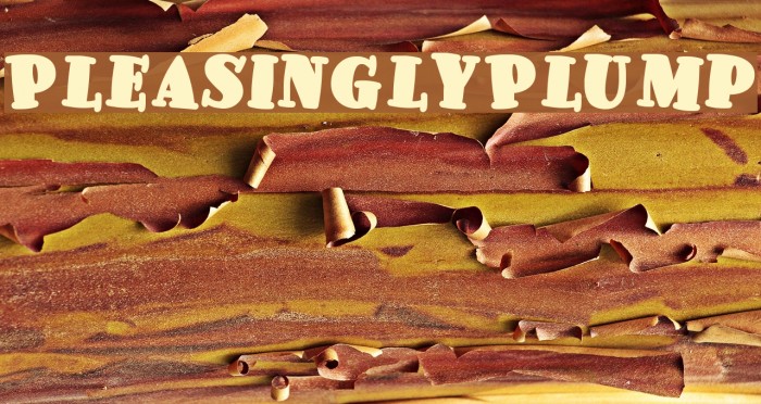 PleasinglyPlump Font examples