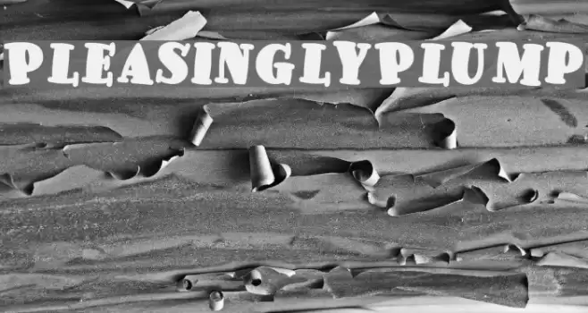 PleasinglyPlump Caratteri examples