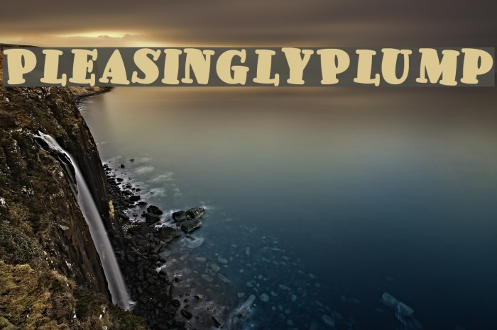 PleasinglyPlump Font examples