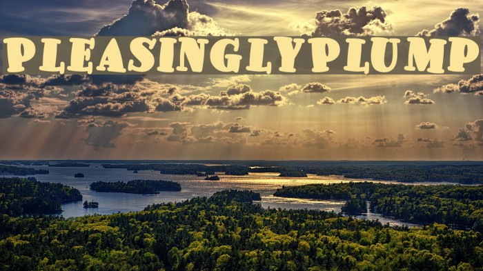 PleasinglyPlump Font examples