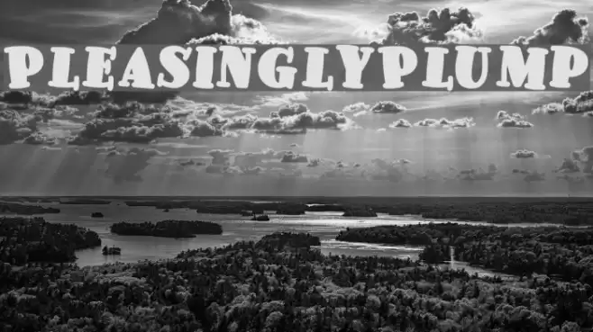PleasinglyPlump Caratteri examples