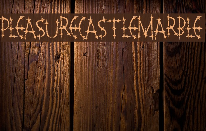 PleasureCastleMarble Font examples