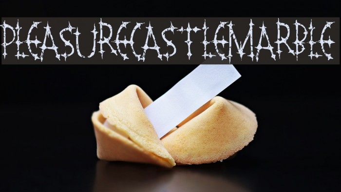 PleasureCastleMarble Font examples