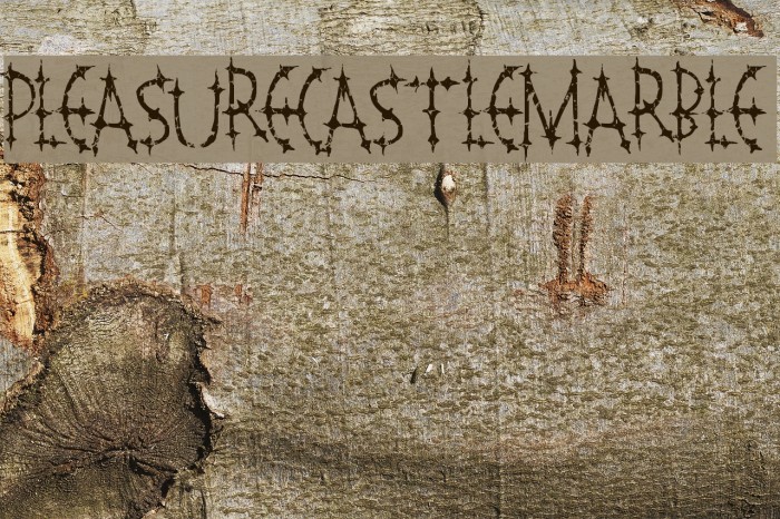 PleasureCastleMarble Font examples