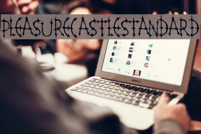 PleasureCastleStandard Example 1