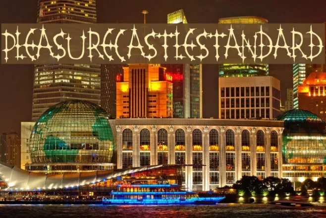 PleasureCastleStandard Example 2