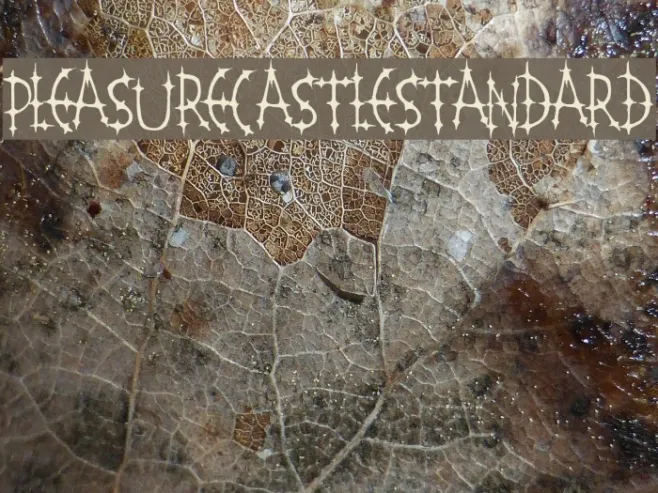PleasureCastleStandard Example 3