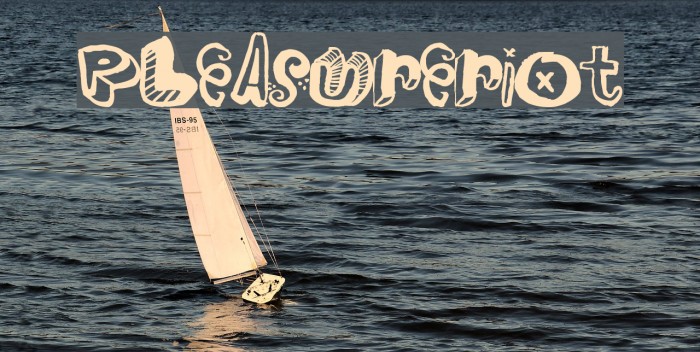 PleasureRiot Example 3