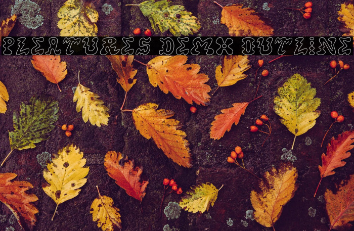 Pleatures Demo Outline Example 2