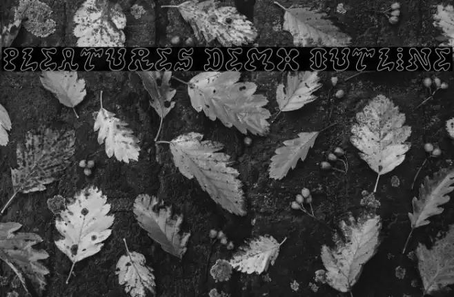 Pleatures Demo Outline Font examples