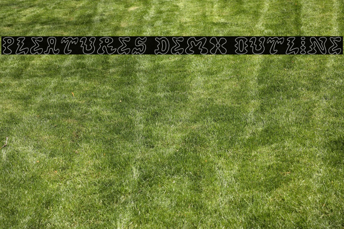 Pleatures Demo Outline Example 3