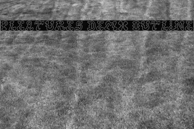 Pleatures Demo Outline Font examples