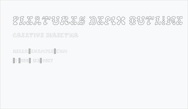 Pleatures Demo Outline Business Card