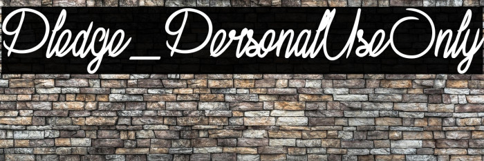 Pledge_PersonalUseOnly Example 1