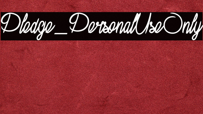 Pledge_PersonalUseOnly Example 3