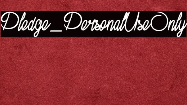 Pledge_PersonalUseOnly Example 3