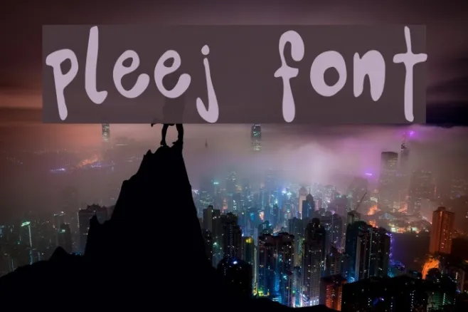 Pleej Example 1