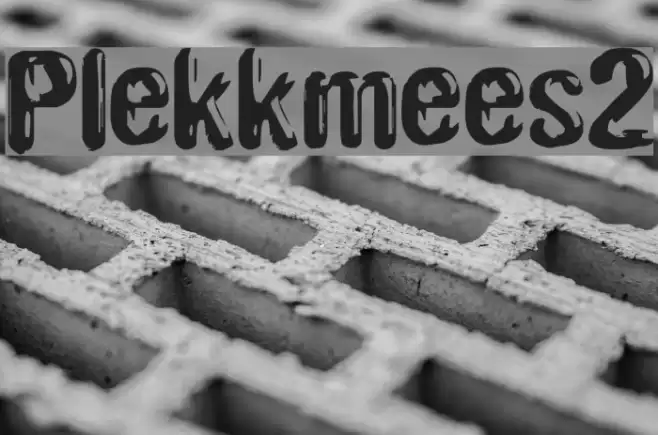 Plekkmees2 Font examples