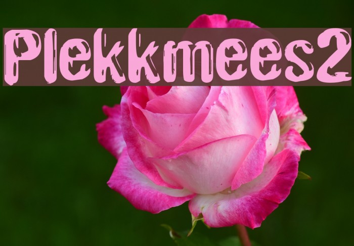 Plekkmees2 Font examples