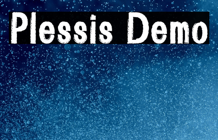 Plessis Demo Example 2