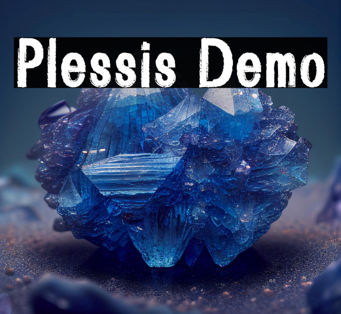 Plessis Demo Example 3