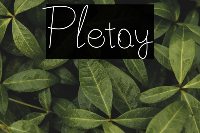Pletoy Example 2