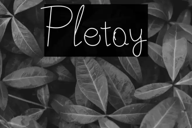 Pletoy Font examples