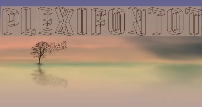 PlexifontOT Example 1
