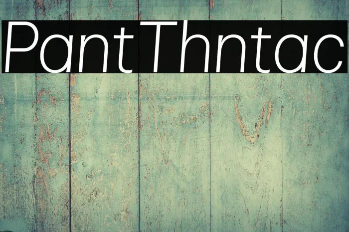 Pliant Thin Italic Example 2